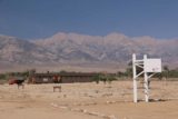 Manzanar_15_002_08042015 - Looking towards the Mess Hall and basketball court before the Eastern Sierra Mountains at Manzanar
