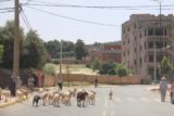 Marrakech_to_Imi_Nifri_006_05172015 - Passing through the town of Demnate