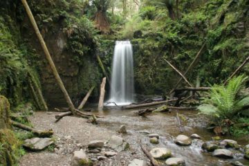 Marriners Falls was a small but quaint 7m waterfall nestled in the forest lands in back of the coastal town of Apollo Bay.  It was the last waterfall we were able to squeeze in on a day when we...