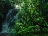 Matai_Falls_002_12012004 - Horseshoe Falls