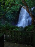 Matai_Falls_012_12012004 - Context of the lookout and Matai Falls