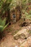 Mathinna_Falls_17_024_11242017 - The Mathinna Falls Track got rougher towards the end as it narrowed and involved some rocky terrain as seen during our November 2017 visit