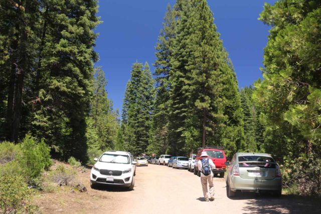 McCloud_Falls_001_06192016 - The really busy parking lot area at the Lower McCloud Falls, where we had to find additional space along the road shoulder