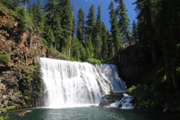 What we're referring to as McCloud Falls was really a series of three major waterfalls on the McCloud River - Lower Falls, Middle Falls, and Upper Falls.  The Lower Falls was really more of a wide...