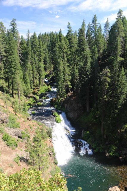 McCloud_Falls_122_06192016 - View of the Middle McCloud Falls from the overlook on the rim of the cliffs above the McCloud River