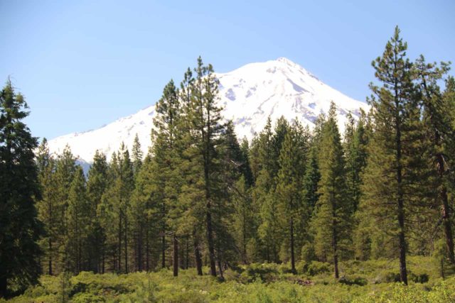 McCloud_Falls_222_06192016