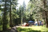 McCloud_Falls_246_06192016 - Make it all the way back to Fowler's Campground