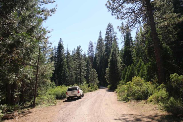 McCloud_Falls_256_06192016 - We had parked at a road shoulder further along the unpaved road beyond the Lower McCloud Falls parking lot since it was too busy when we first showed up