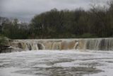 McKinney_Falls_026_03102016 - The Lower McKinney Falls swollen from the rains of this week