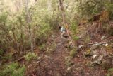 Meetus_Falls_17_027_11252017 - Julie still being careful on the increasingly steep descent to the Meetus Falls Lookout during our November 2017 visit
