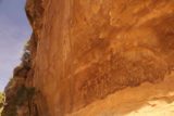 Mesa_Verde_218_04162017 - Context of the petroglyph panel along the Petroglyphs Trail in Mesa Verde National Park