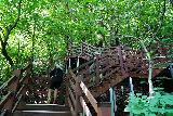 Miin_Pokpo_154_06142023 - Pretty sweaty climb back up the steps on the way back from the Miin Pokpo