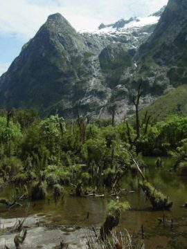 Milford_Track_day2_051_11272004