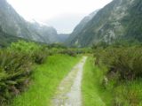 Milford_Track_day2_110_11272004