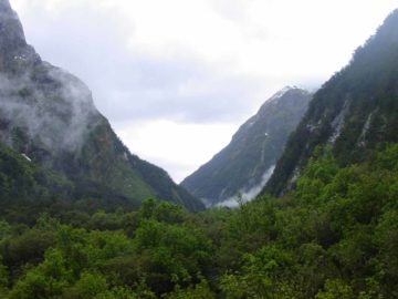 Milford_Track_day3_122_11282004