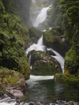 Milford_Track_day4_068_11292004