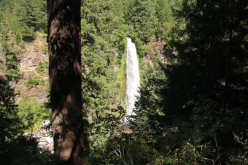 With Mill Creek Falls and Barr Creek Falls, we were able to get a rare two-for-one waterfalling experience where both waterfalls were within a stone's throw from each other yet each were quite...
