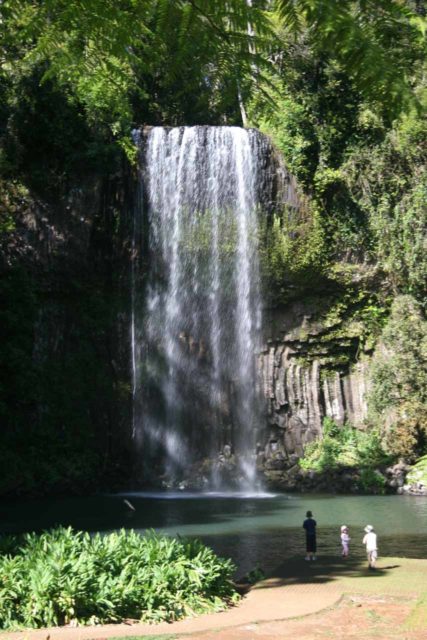 Millaa_Millaa_Falls_015_05172008 - Roughly 12km north of Souita Falls was the beautiful Millaa Millaa Falls