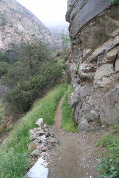 Millard_042_04232011