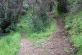 Millard_043_04232011 - Start of Sunset Trail at my turnaround point