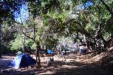 Millard_Falls_009_01062023 - Back at the familiar Millard Campground
