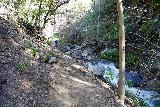 Millard_Falls_019_01062023 - Context of the Millard Falls Trail and the rushing Millard Creek beside it