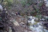 Millard_Falls_034_01062023 - Julie and Tahia continuing alongside the swollen Millard Creek en route to the waterfall