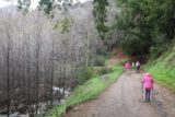 Millard_Falls_17_005_02192017 - Tahia trying out Mom's trekking poles while pursuing the Millard Falls Trail