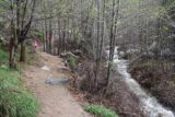 Millard_Falls_17_017_02192017 - Context of the Millard Falls Trail skirting alongside a rushing Millard Creek in unusually high flow during our February 2017 visit
