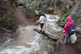 Millard_Falls_17_106_02192017 - Context of Mom crossing a log-assisted traverse of Millard Creek in high flow during our February 2017 visit