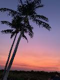 Mindil_Beach_043_iPhone_06122022 - Looking towards some purplish skies after the sun had already set at Mindil Beach