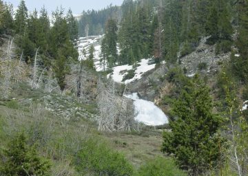 Black Wolf Falls is a conspicuous presence as you leave the Silver City and head into Mineral King Valley. Getting here on the long, narrow, and winding Mineral King Road...