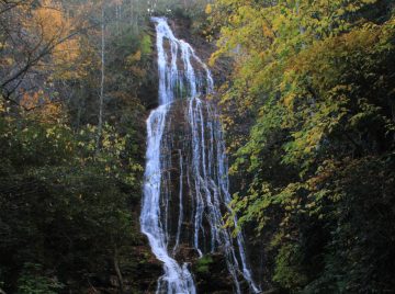 Mingo Falls is probably hands down the most scenic waterfall in the vinicity of the Great Smoky Mountains National Park (at least based on our research of the waterfalls in the park and our field...