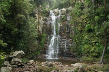 Minnamurra Falls was an impressive two-tiered waterfall nestled deep in a serene rainforest just a few minutes inland from Kiama (which itself seemed to be known for some pretty active and...