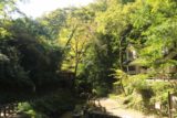 Minoh_Falls_028_10232016 - Guardando a valle lungo la Minogawa verso un sentiero che potrebbe aver portato giù per la gola fino alla stazione Minoh (forse passando da alcuni santuari storici nel processo)