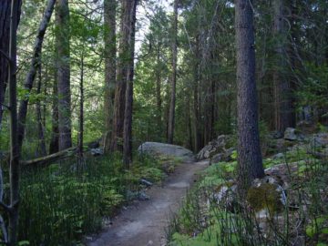 Mist_Falls_060_08272004