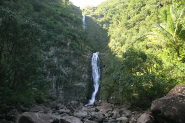 Moaula Falls (or Moa'ula Falls) is one of two major waterfalls nestled in the back of the legendary Halawa Valley on the eastern end of Moloka'i.  It has been well documented...
