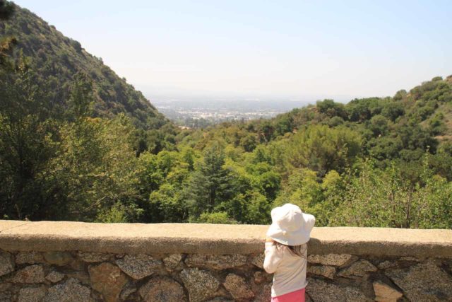 Monrovia_Canyon_14_012_04202014 - Tahia checking out the view back towards the Los Angeles Basin from the overlook by the upper parking lot for Monrovia Canyon Park