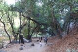 Monrovia_Canyon_Falls_063_11132016 - Our November 2016 visit to Monrovia Canyon Falls took place late in the afternoon so most people were heading back when we were