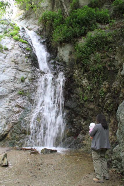 Monrovia_Cyn_042_05142011 - Tahia laying her eyes on a waterfall (Monrovia Canyon Falls) for the first time