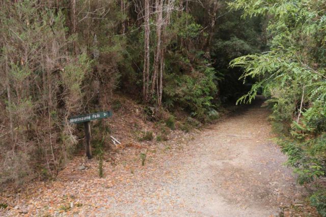 Montezuma_Falls_17_013_11292017 - Sign providing assurance that this is the way to Montezuma Falls for both walkers and 4wd drivers