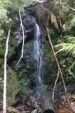 Montezuma_Falls_17_114_11292017 - This was a side waterfall that caught my attention somewhere between the walkers only sign and the abandoned mine shaft along the Montezuma Falls Track during my late November 2017 hike