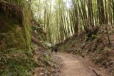 Montezuma_Falls_17_213_11292017 - láttam jó néhány túrázók jönnek Montezuma Falls, miközben én csomagolópapír fel a túra November végén 2017, ahol nagyjából nem láttam egy másik lélek (kivéve egyes emberek törés tábor a trailhead), amíg én voltam a kiutat