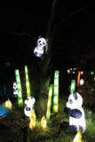 Montreal_512_10082013 - A lit up panda display