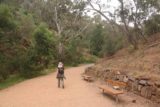 Morialta_Falls_017_11102017 - On the well-developed track leading to the Morialta Falls