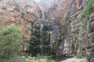 The Morialta Waterfalls (or Morialta Falls) seemed to be one of the favourite spots for Adelaide locals and visitors alike, which was very evident on our latest visit there when the place was busy...