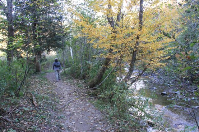 Moss_Glen_Falls_Stowe_005_09302013 - Julie on the trail to Moss Glen Falls as the path followed along the creek