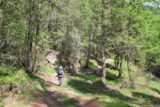 Mt_Blanc_Chamonix_053_20120520 - entering the forest