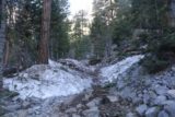 Mt_Charleston_028_04222017 - In late April 2017, there was still some patches of snow covering parts of the Mary Jane Falls Trail