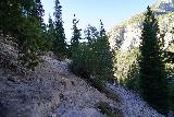 Mt_Charleston_049_08112020 - Ascending the familiar rocky switchback that seemed to confuse some hikers a little less aware of their surroundings. It seemed like not much has changed when I was here in August 2020 compared to my previous time in late April 2017